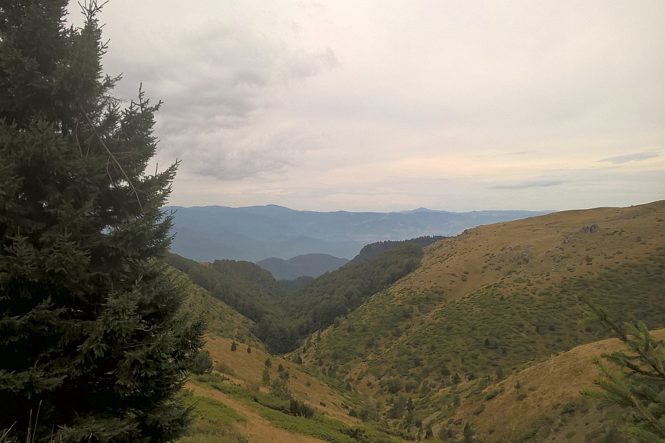 Mountain Valley View