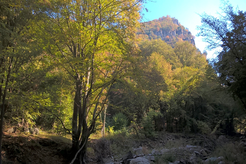 Autumnal Forest Scene With A Rocky Cliff