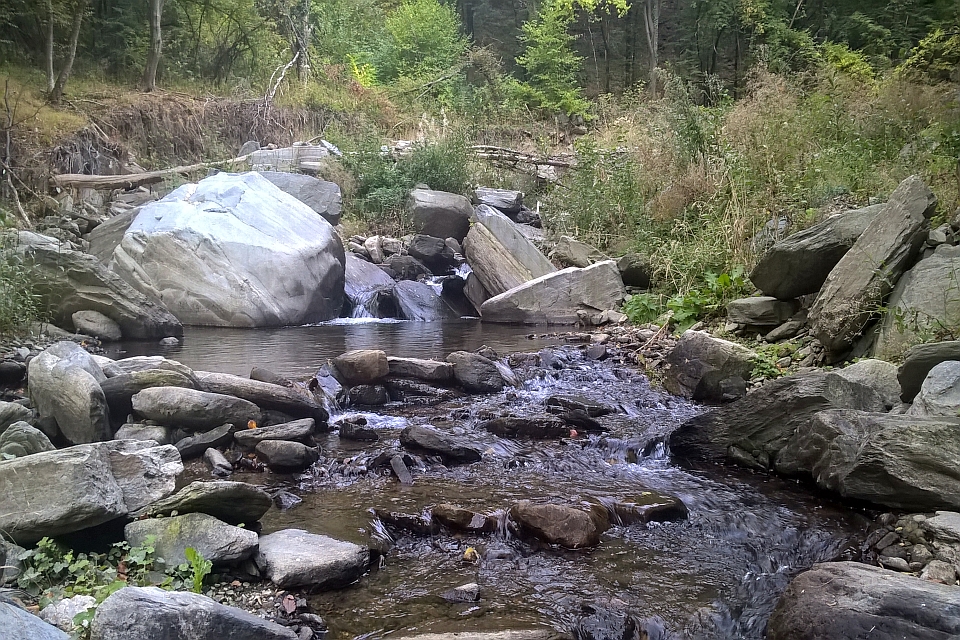 Rocky Stream Flowing Through A Forest