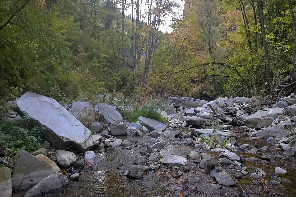 Rocky Streambed In A Wooded Area