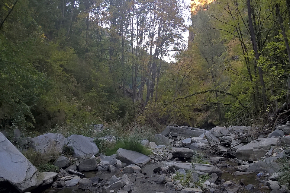 Rocky Streambed In A Wooded Area