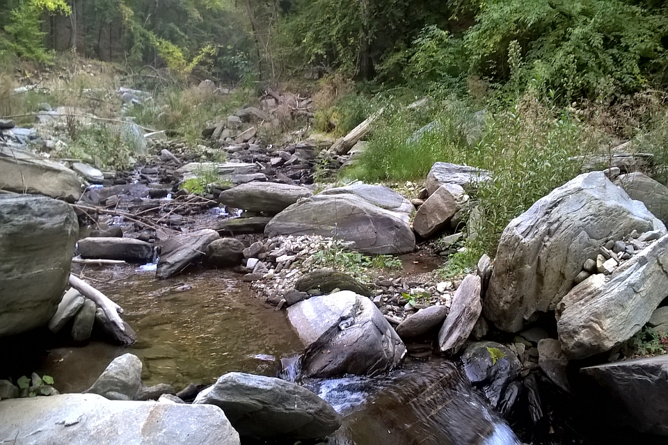 Rocky Stream In A Wooded Area