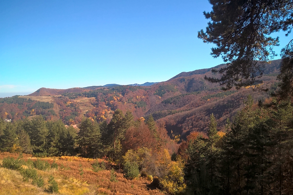 Autumnal Mountain Landscape
