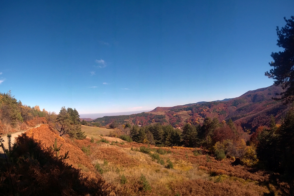 Autumnal Mountain Landscape