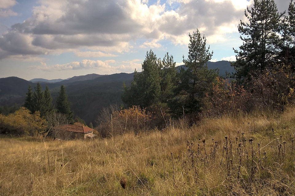 Small Cabin Sits In A Grassy Field