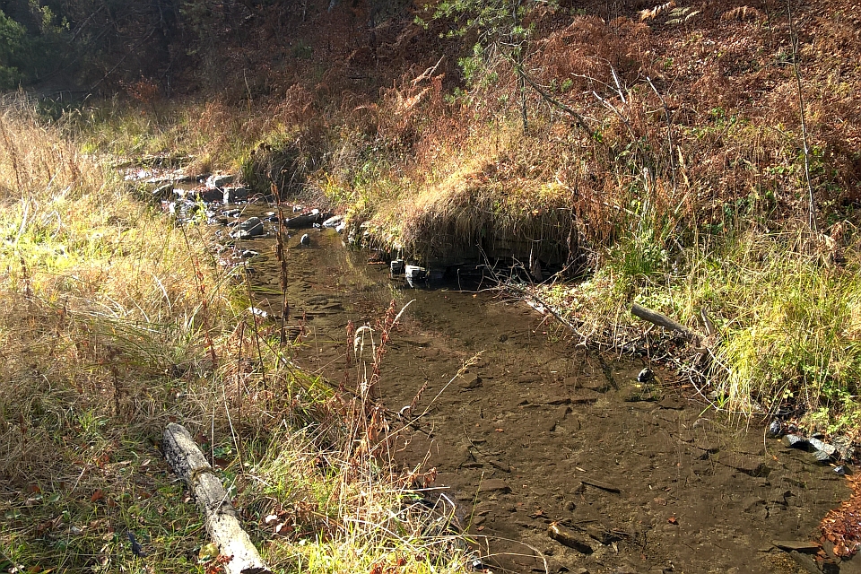 Shallow Stream Flows Through A Dry Grassy Area