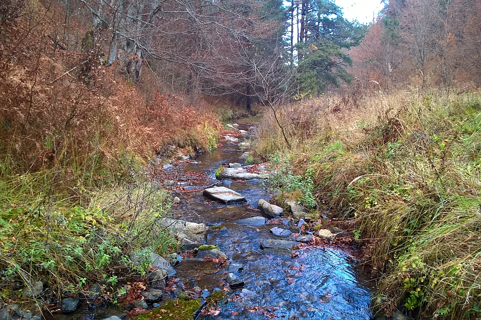 Small Stream Flows Through A Wooded Area In Autumn