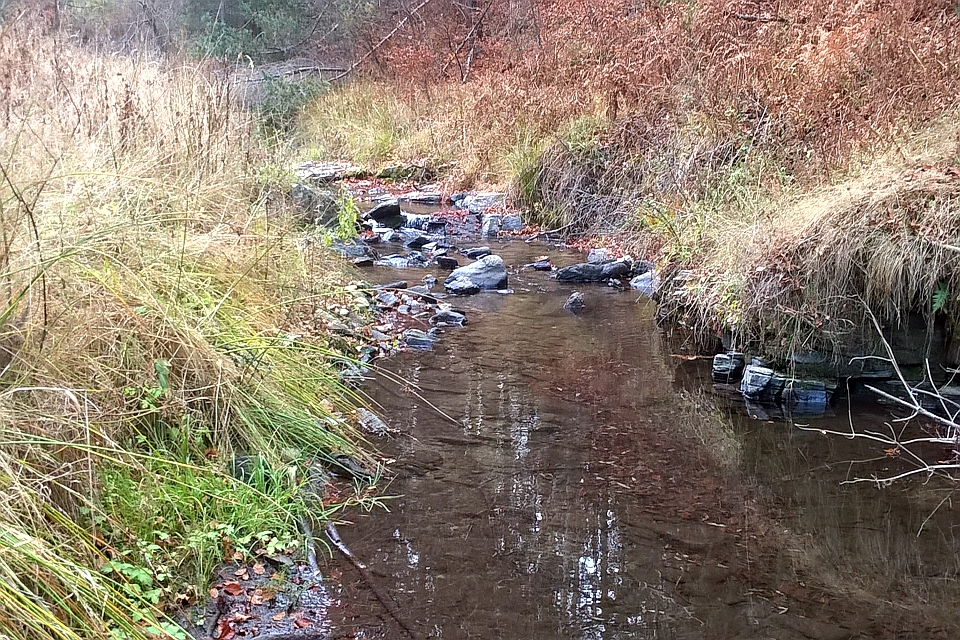 Small Creek