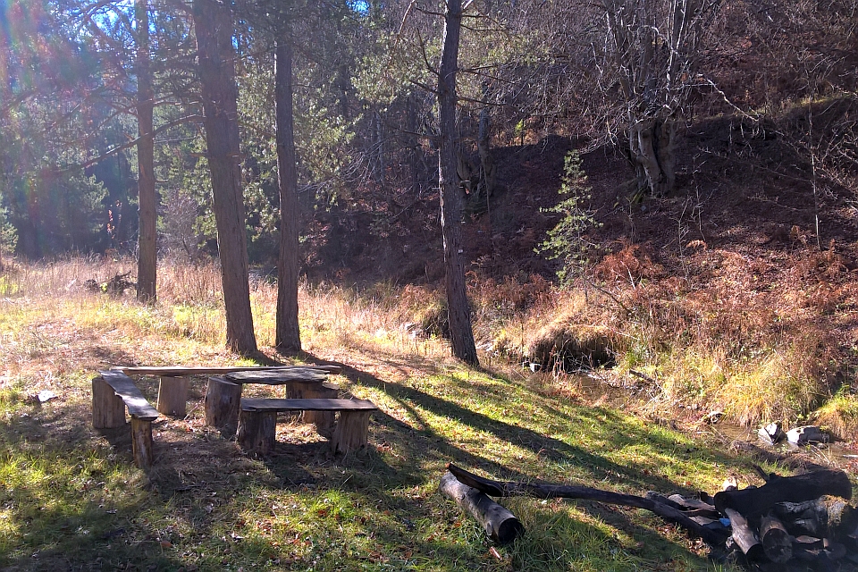 Rustic Wooden Picnic Tables