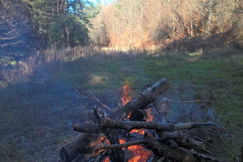 Bonfire In A Forest Clearing