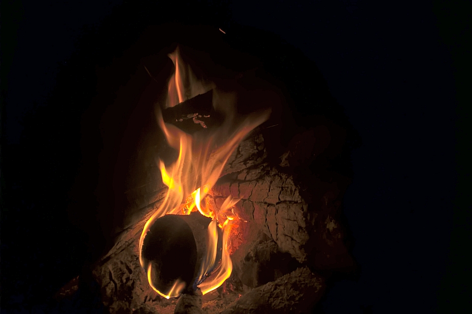 Dark Log Burns In A Fire