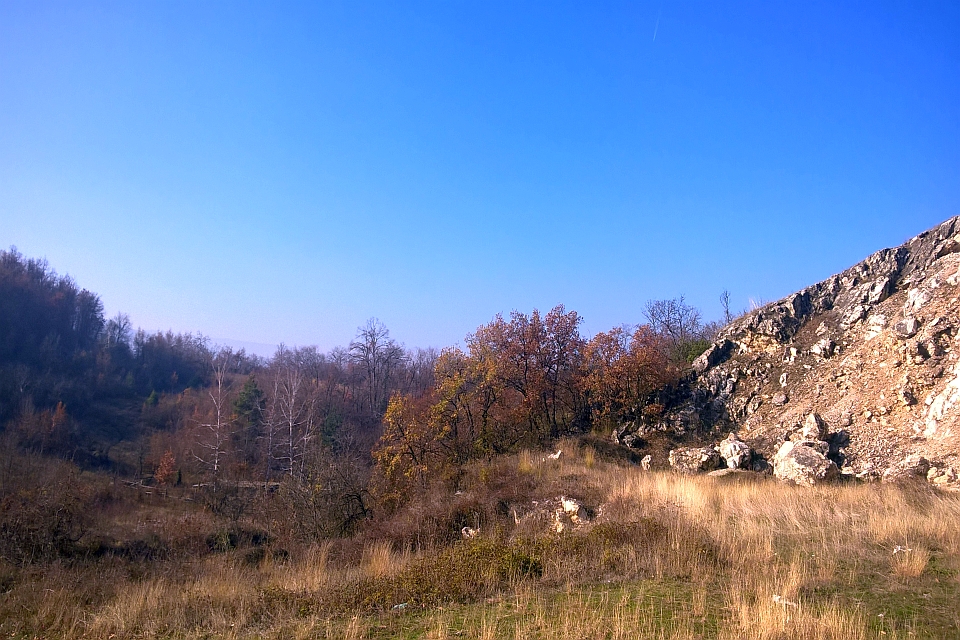 Rocky Hillside Meets A Scrubby