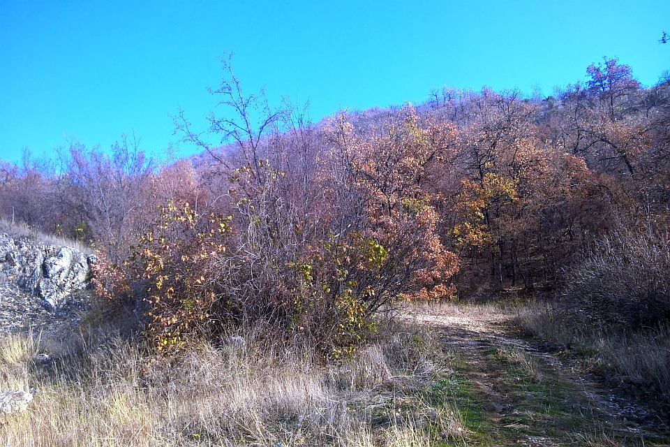 Dirt Path Winds Through A Hillside