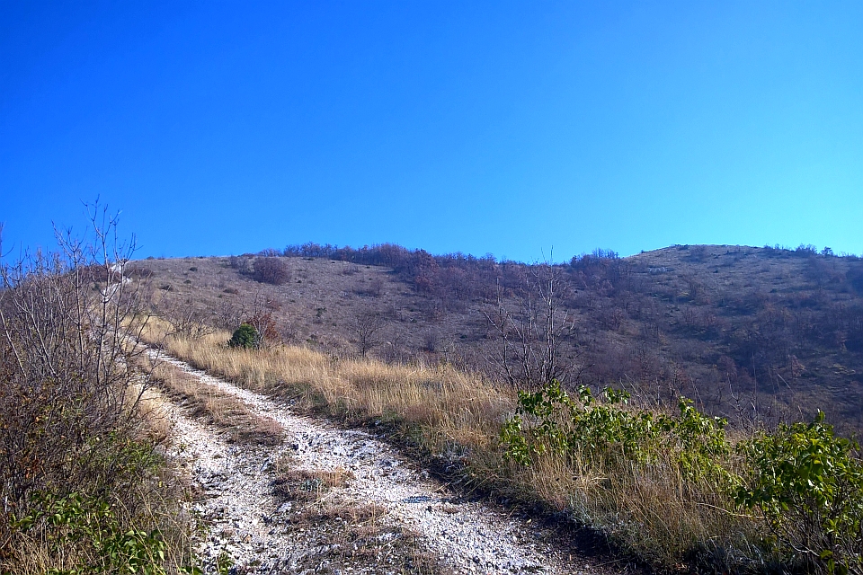 Dirt Road Ascends A Hill