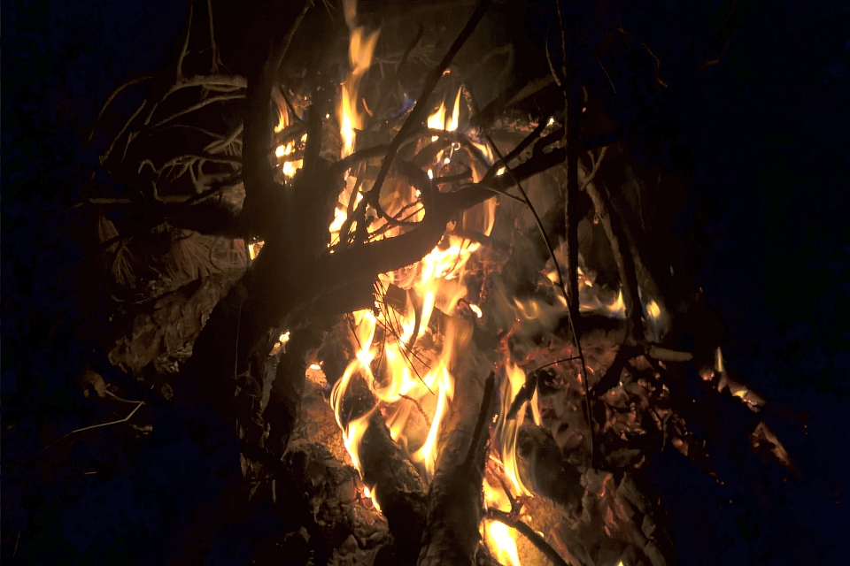 Bonfire Burning