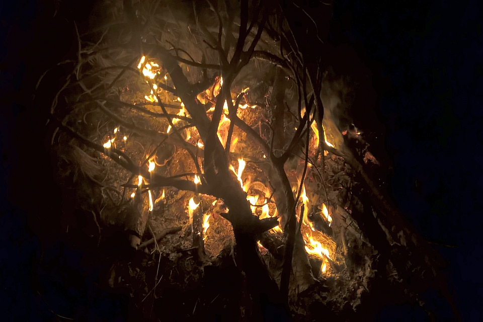 Bonfire Burning Brightly