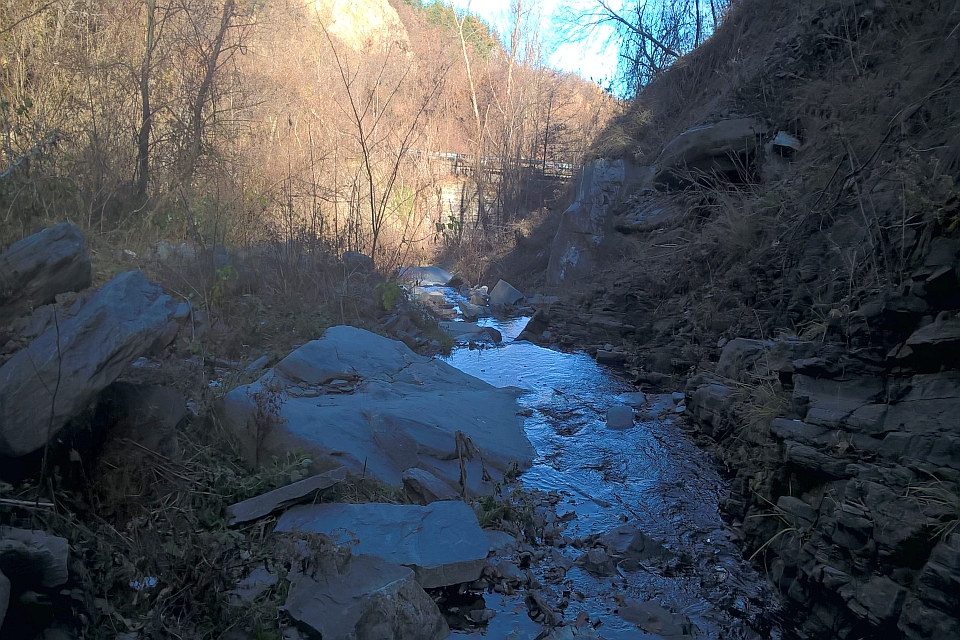 Small Stream Flows Through Ravine