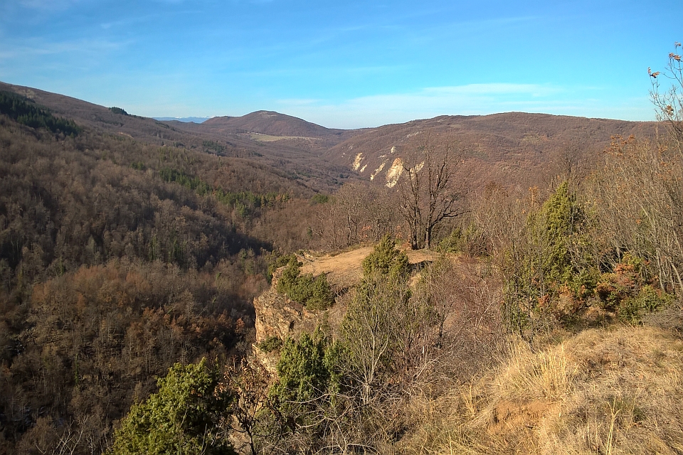 Valley In The Winter
