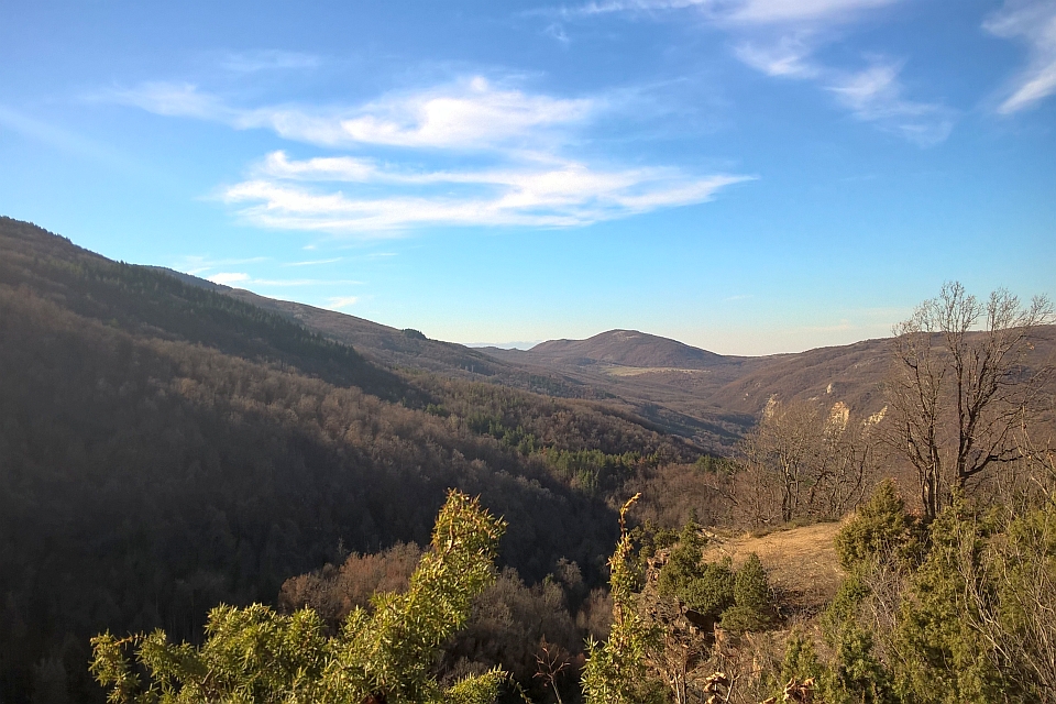 Mountain Valley Landscape