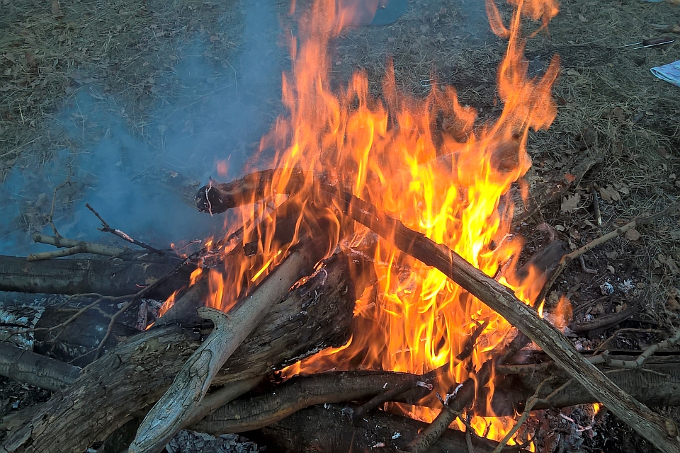 A Bonfire Burns Brightly