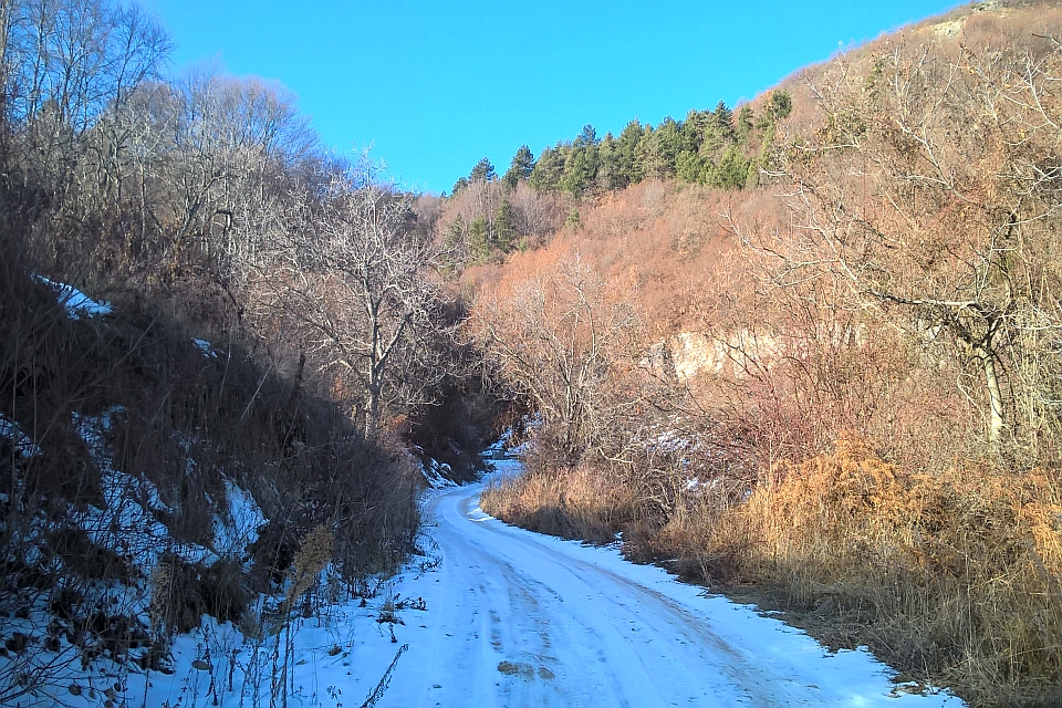 Snow-Covered Dirt Road
