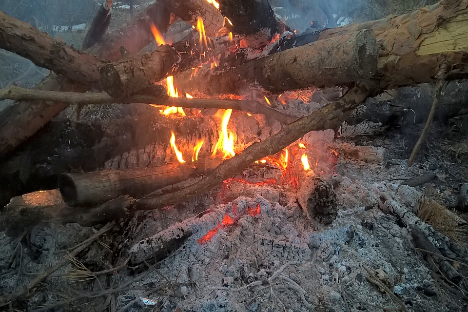 Bonfire With Bright Orange Flames