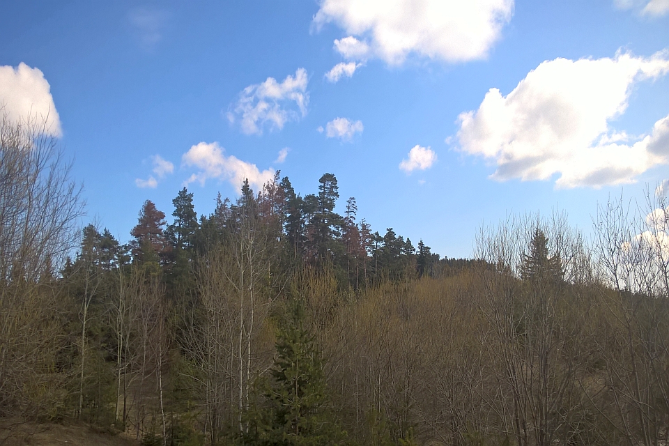 Mostly Clear Blue Sky