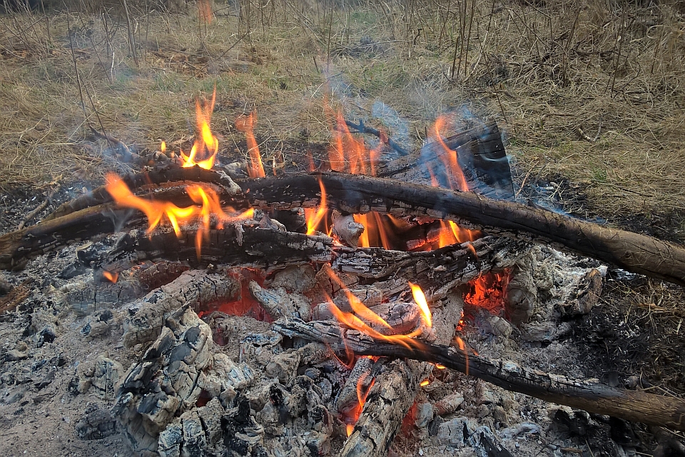 Campfire Burning Brightly