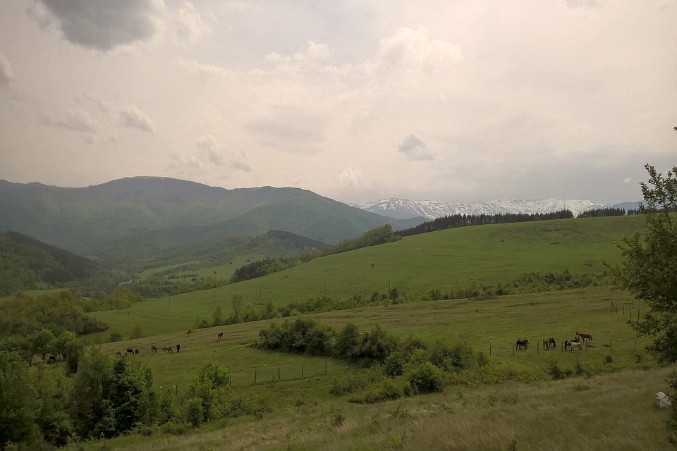 Rolling Green Hills And Mountains