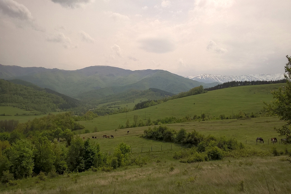 Green Hills And Mountains