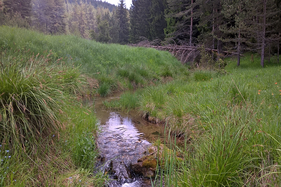 Stream Flows Through A Meadow