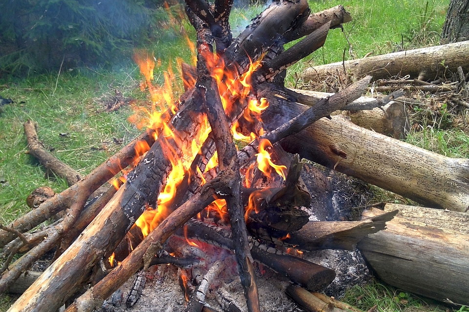 Single Yellow Buttercup