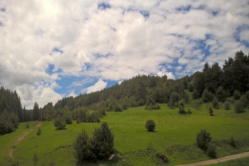 Green Grassy Hillside