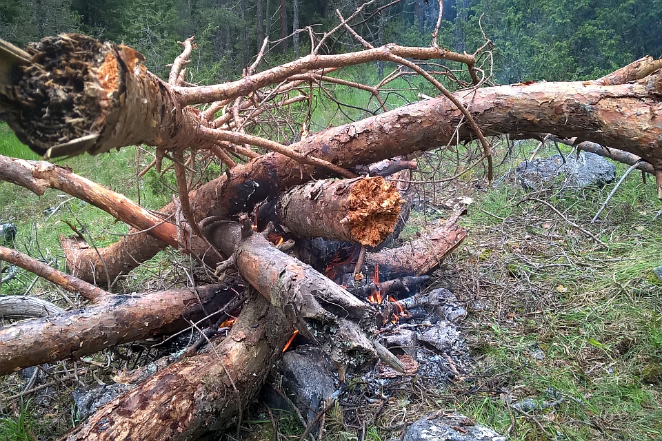 Bonfire Made Of Stacked Logs