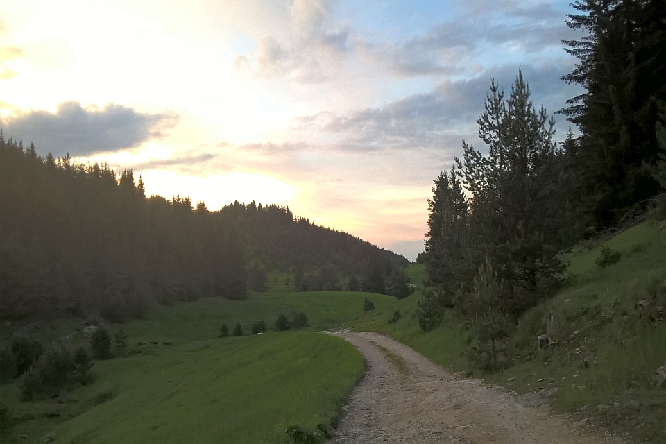 Sunset View Of A Dirt Road
