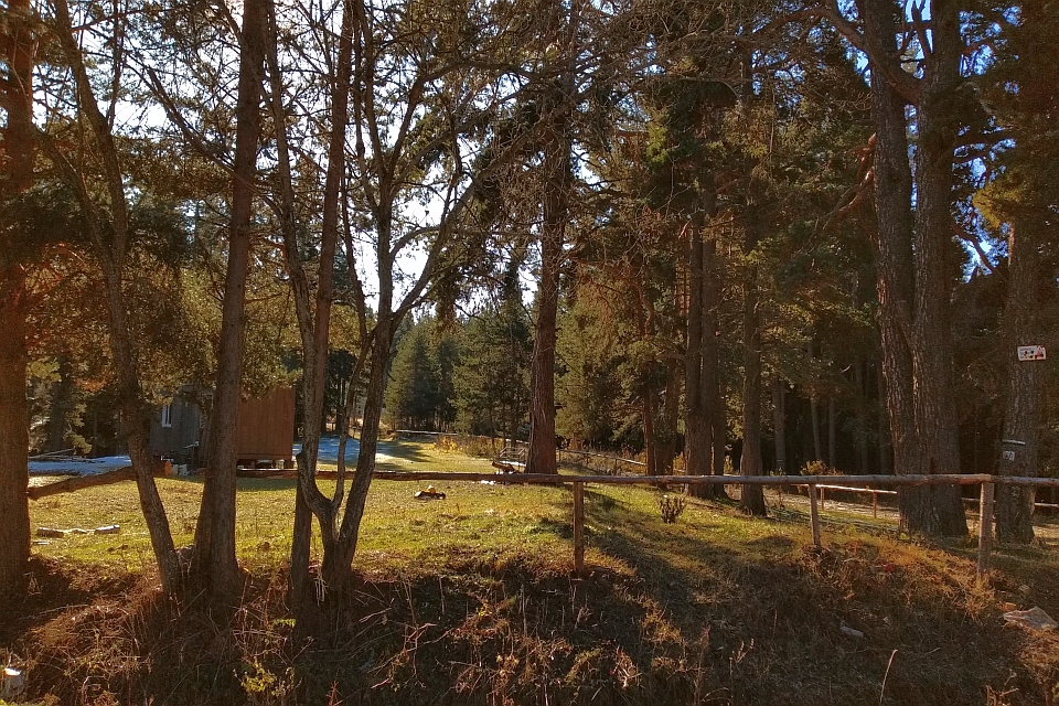 Wooden Fence Runs Through A Sunny Forest