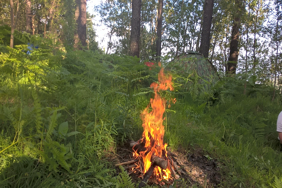 Campfire Burns Brightly In A Forest