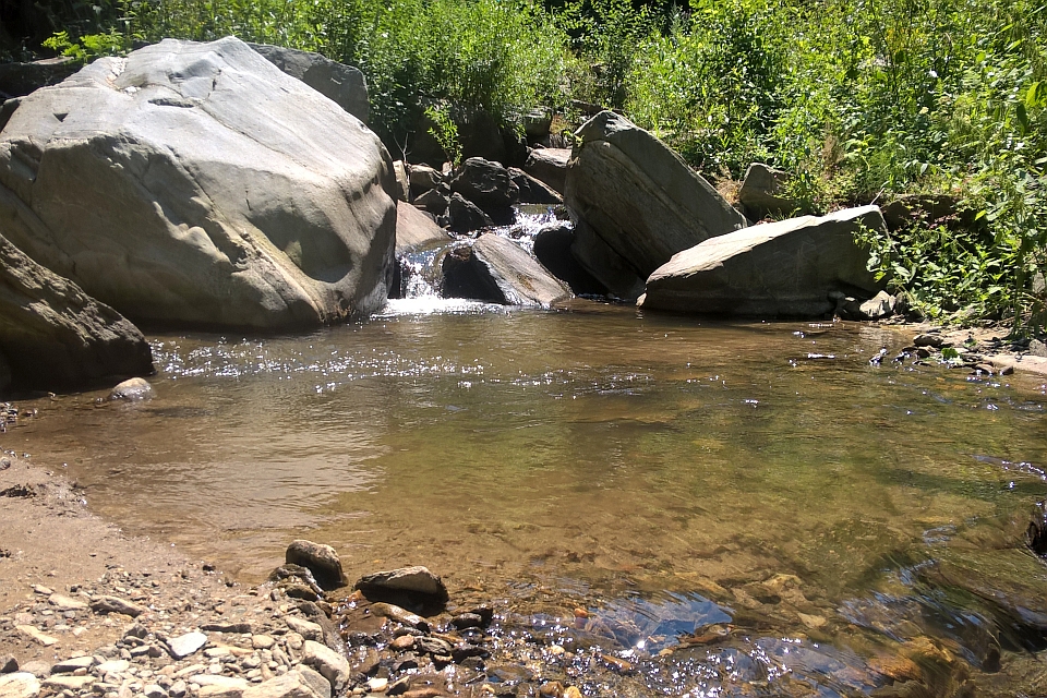 Small Creek Flows