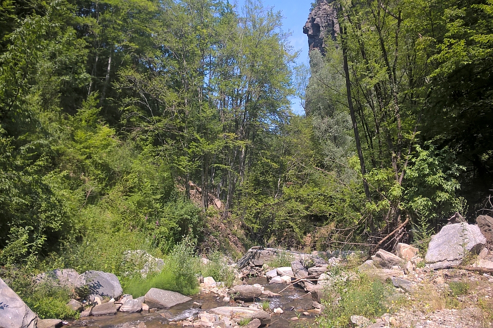 Small Creek Flows Over Rocks