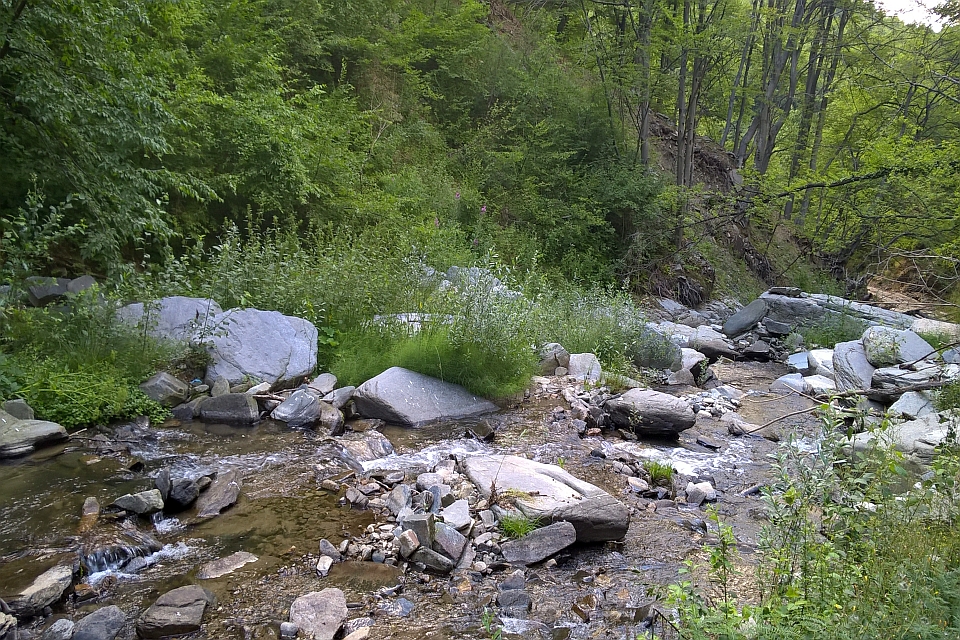 Rocky Stream Flows