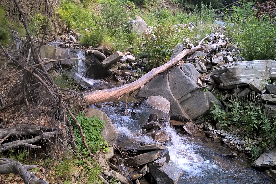 Fallen Log Spans A Rocky Stream