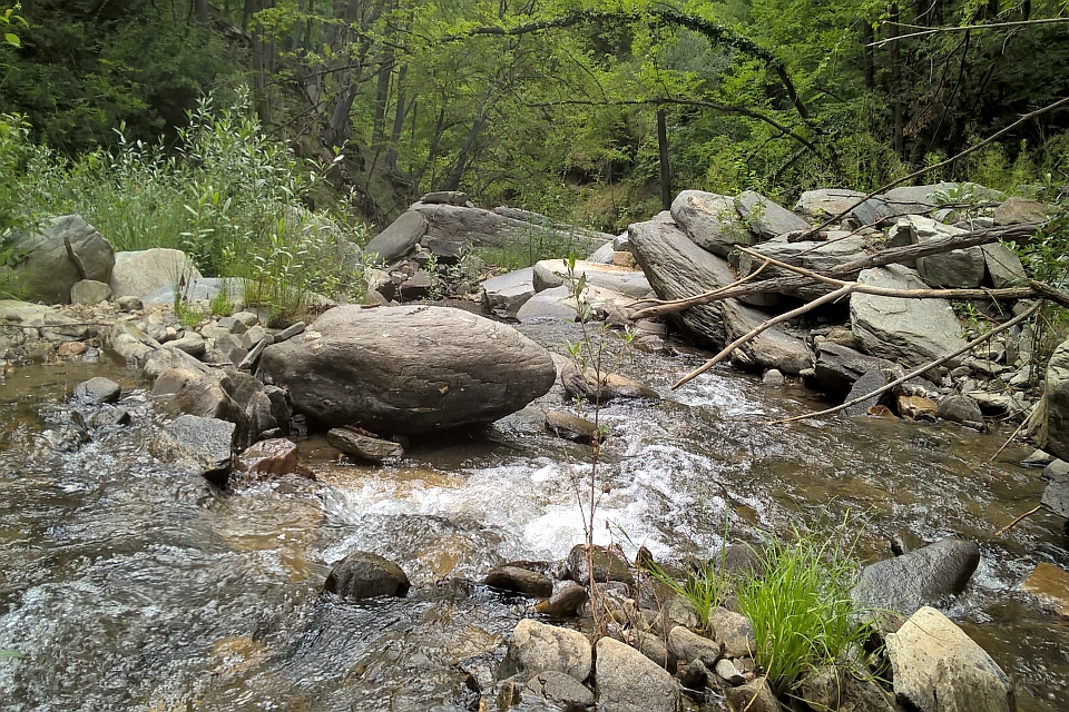 Rocky Stream Flows
