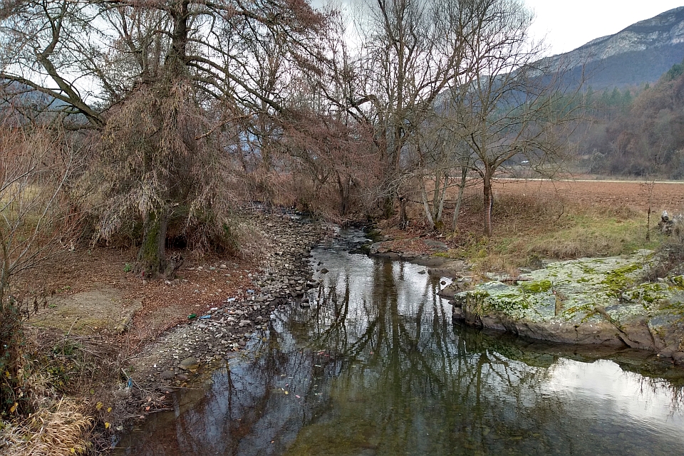 Calm Stream Flows Through A Riverbed