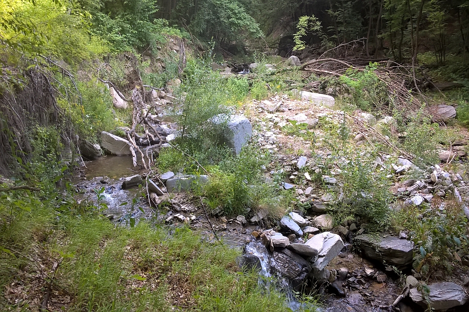 Rocky Stream Flows