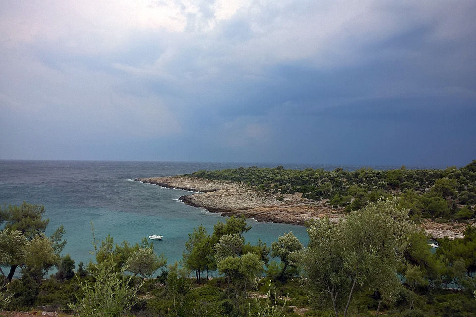 Rocky Coastline With Green