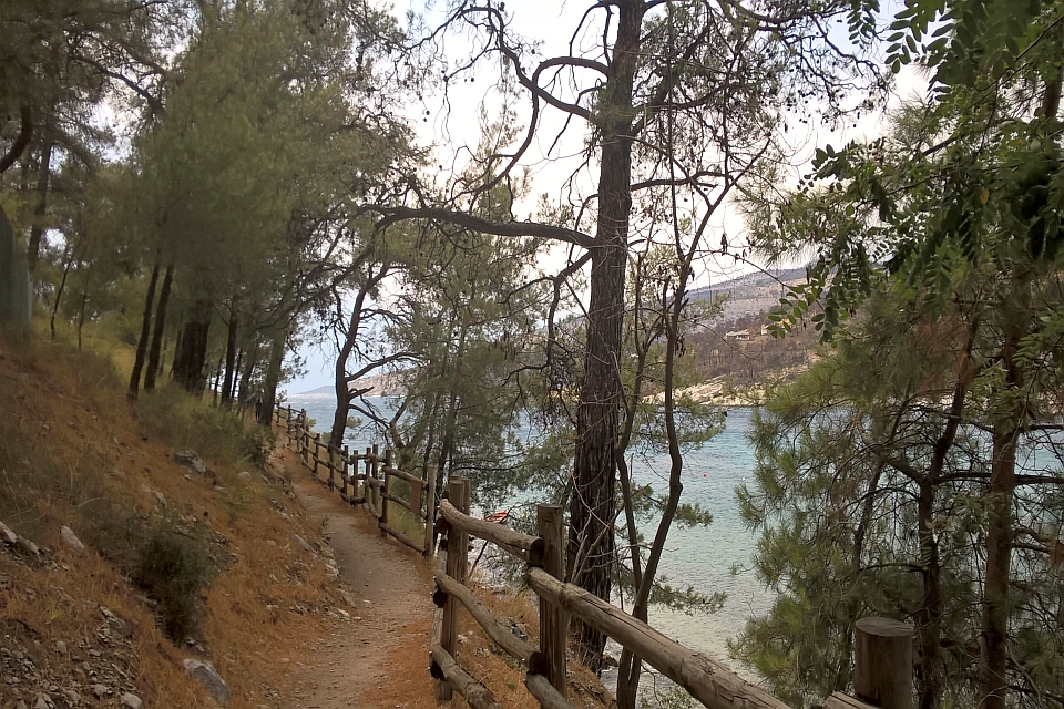 Dirt Path With A Wooden Fence