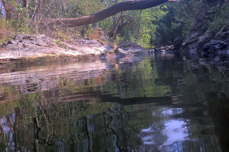 Calm River Reflecting The Overhanging Trees