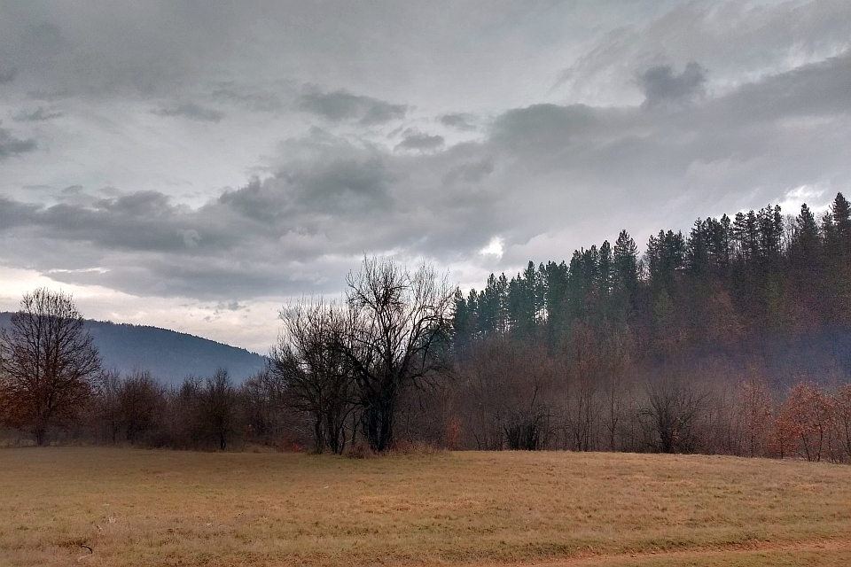 Field Of Dry Grass Under A Cloudy Sky