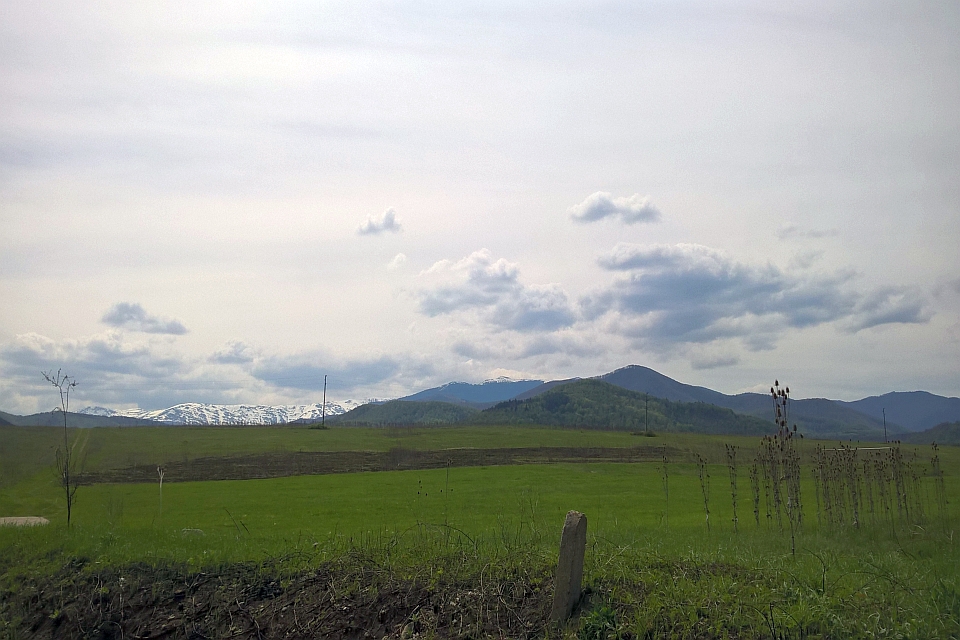 Green Field With Distant Mountains