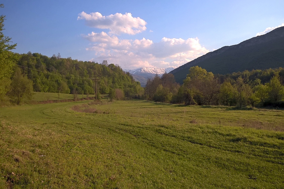 Grassy Field With A Utility Pole And Green Hills